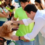 Endurecen sanciones por maltrato post mortem a animales; impulsan regulación de crematorios en Quintana Roo