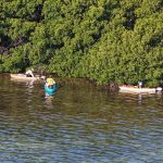 Impulsa Ayuntamiento de Ana Paty Peralta cuidado de la Laguna Nichupté 