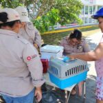 Gobierno municipal refuerza la protección de perros y gatos con Jornada de Vacunación Antirrábica 2026